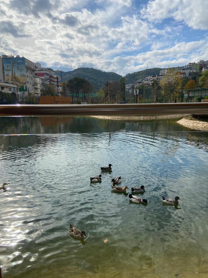 Mb Luxury Apartments Tirana Zewnętrze zdjęcie