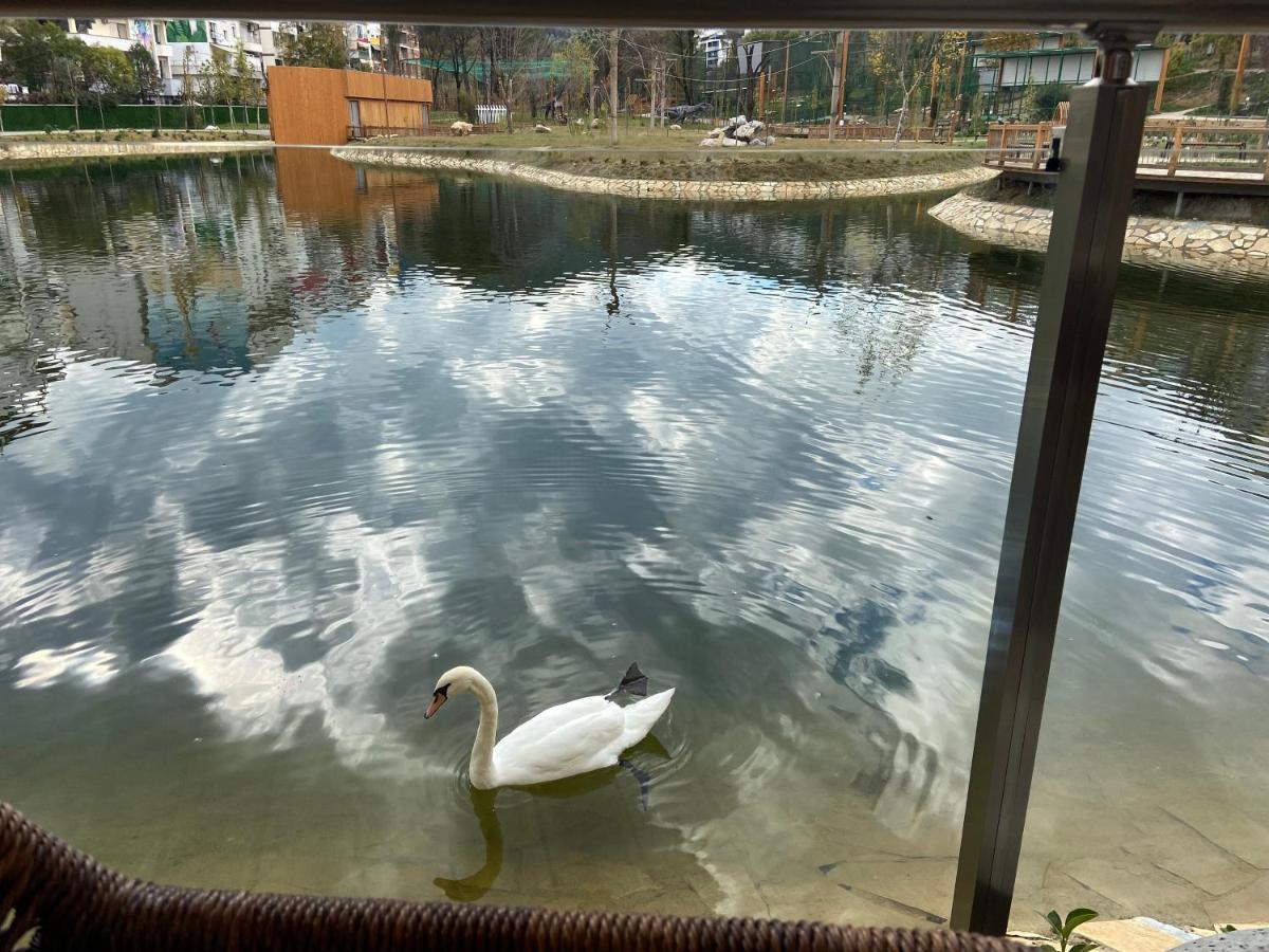 Mb Luxury Apartments Tirana Zewnętrze zdjęcie